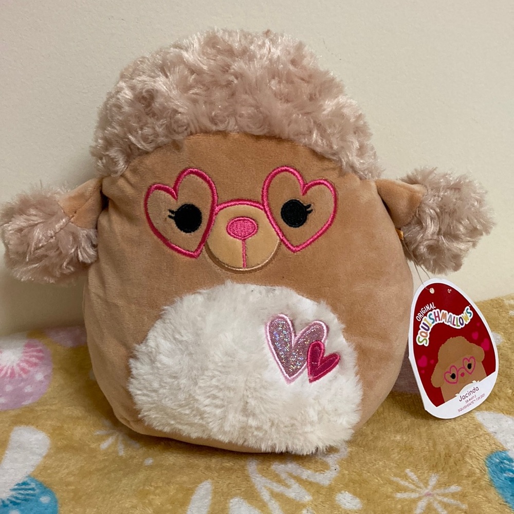 Hacienda valentines squishmallow